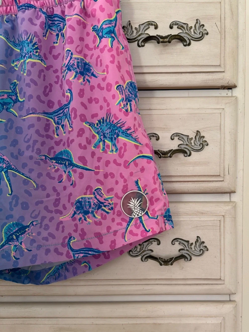 Chubbies Dino Delights Swim Trunks